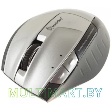 Мышь Smartbuy 501AG Silver (SBM-501AG-S)